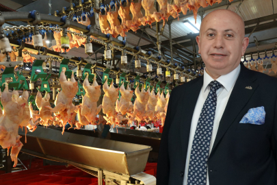 Kanatlı Eti Sektöründe İhracat Krizi: "Stoklar Şişiyor, Pazarlar Kaybediliyor"