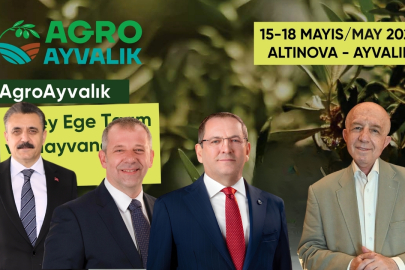 Kuzey Ege’den Stratejik Hamle: Zeytinciliğin Yol Haritası Yazılacak
