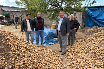 Gürer: ''Binlerce Ton Patates Hayvan Yemi Oldu''