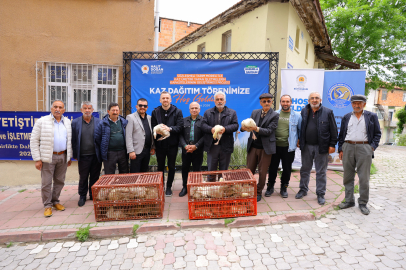 Samsun Büyükşehir'den Üreticilere Kaz Desteği