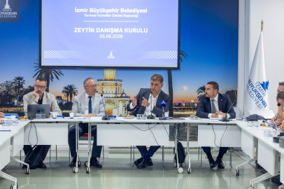Başkan Tugay: ''Zeytinin Değerini Ekonomiye Yansıtmalıyız''