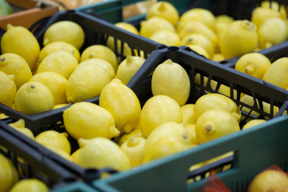 Türkiye’nin Limon İhracatı 500 Milyon Dolara Koşuyor