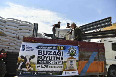 "Buzağı Büyütme Yem Desteği" Yetiştiriciye Can Suyu Oldu