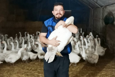 Kaz Yetiştiriciliği Kırsal Kalkınmanın Lokomotifi
