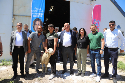Küçükbaş Hayvancılığı Destekleme Projesi Meyvelerini Verdi