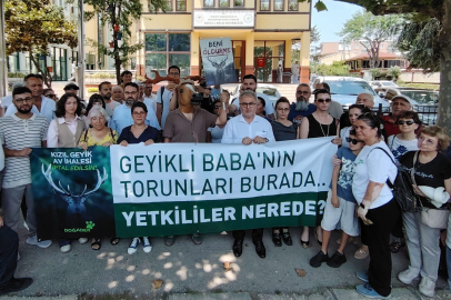 Bursa’da Kızıl Geyik Avı İhalesine Büyük Tepki