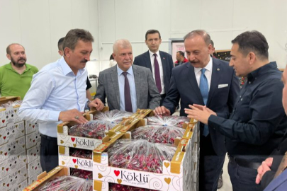 Isparta Kirazı Dünya Markası Olma Yolunda: Hedef Çin Pazarı!