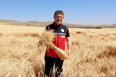 Bakan Yumaklı Hasat Sezonunu Kırıkkale'de Başlattı: "Bu Yıl Rekor Üretim Bekliyoruz"