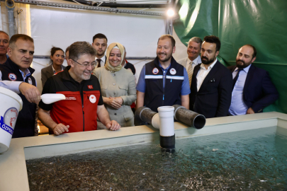 Türkiye Su Ürünlerinde Rekor Kırdı: Hedef 3 Milyar Dolarlık İhracat!