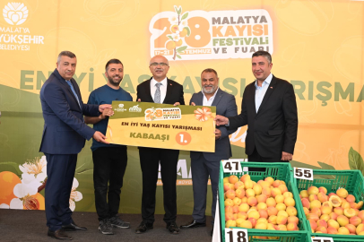 "En İyi Kayısı Yarışması" Düzenlendi