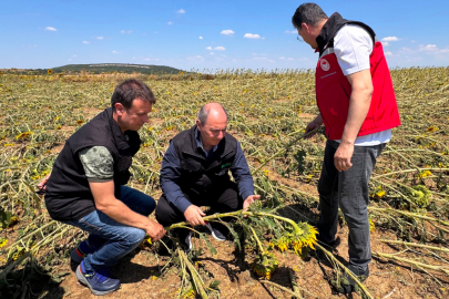 TARSİM, Tekirdağ’daki Dolu ve Fırtına Hasarını Yerinde İnceledi