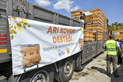 Ankara Büyükşehir Belediyesi'nden Arıcılara Yüzde 50 Hibeli Kovan Desteği