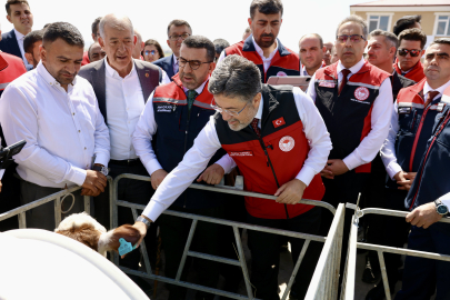 17 Milyon Büyükbaşa Dijital Küpe Geliyor