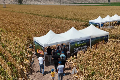 BAYER, Agro Arena Etkinliğinde Hatay’da  Binin Üzerinde Mısır Üreticisiyle Buluştu