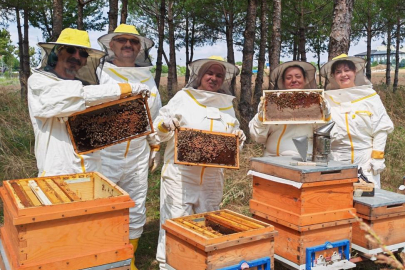 Kocaeli Balı Bilinçli Üretimle Değerleniyor