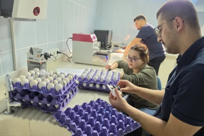 Gençler, Tavukçuluk Araştırma Enstitüsü’nde Sektörü Sahada Öğreniyor