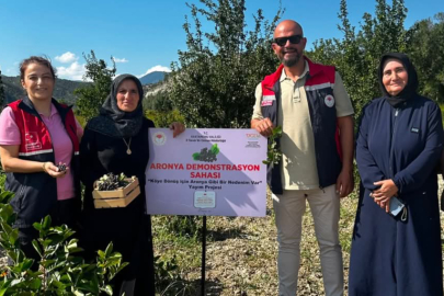 Aronya Kastamonu’da Üreticinin Yeni Alternatifi Oldu