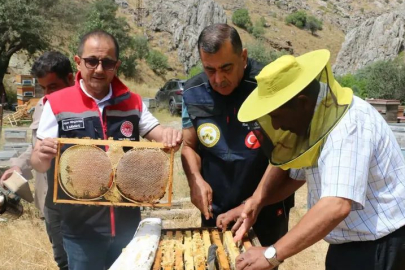 Erzincan'da Bal Hasadı Başladı, 1.500 Ton Rekolte Bekleniyor