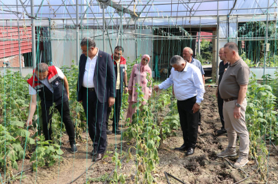 Sel Felaketinin Ardından Tarım Alanlarında Hasar Tespiti Sürüyor
