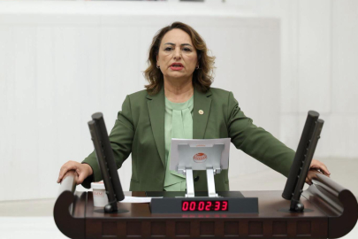CHP’li Şevkin’den Tarım Bakanına 41 Soruluk Önerge