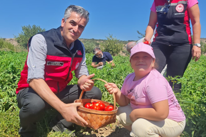İzmir'in Lezzeti Yamanlar Tarla Domatesi İçin Tarla Günü