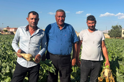 CHP'li Gürer: "Pancar Üreticisi Fiyat Bekliyor, Beklenti Dört Bin Lira"