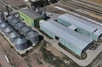 Malya Tarım İşletmesinde Hasat Sonrası Tohum Hazırlığı