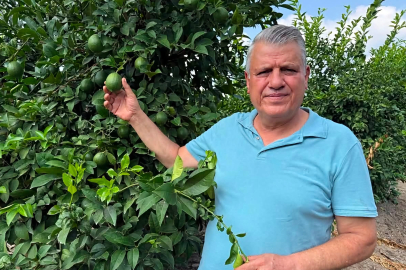 YENİ Partili Ayhan Barut’tan Limon Üreticisi İçin Çağrı