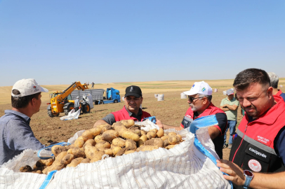 Patates Üretim Alanlarında Saha İncelemesi