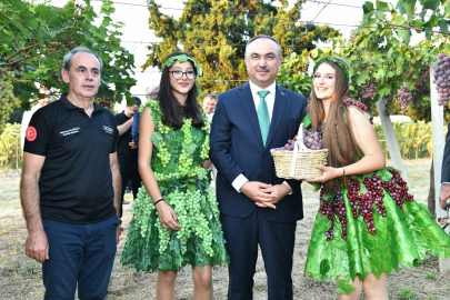 Tekirdağ’da Bağ Bozumu Heyecanı