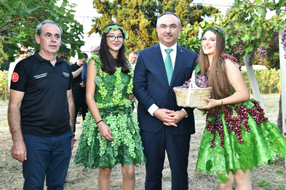 Tekirdağ’da Bağ Bozumu Heyecanı