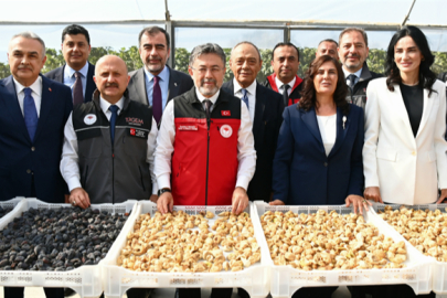 Bakan Yumaklı: "Türkiye Dünya İncir Üretiminde Birinci Sırada!"