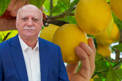 Ağustos Ayında Üretici ile Market Arasındaki Makas Açıldı: Zirvede Limon Var