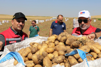 Eskişehir Çifteler'de Patates Üretimi Sahada İncelendi