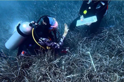 Kaş-Kekova’da Posidonia Oceanica İçin Bilimsel Dalışlar Tamamlandı