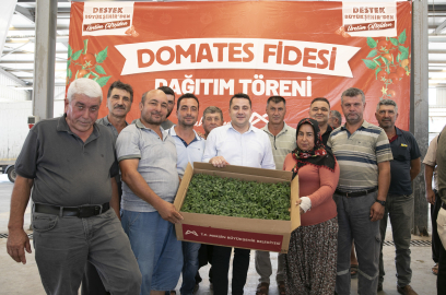 Erdemlili Üreticilere Domates Fidesi Desteği