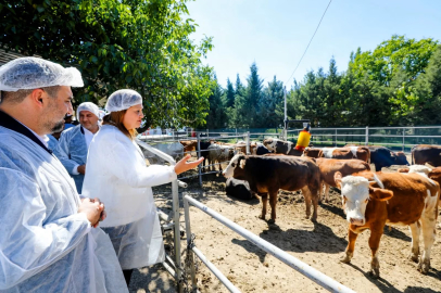 Yüntaş Besi Çiftliği Hizmete Açıldı
