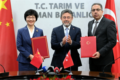 Çin'den Defne Yaprağı İhracatı İçin Protokol İmzalandı