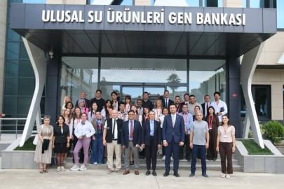 COP31 Yolunda Bilimsel Çalışmalar Uluslararası Medyanın Gündeminde
