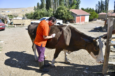 ABB’den Yetiştiriciye 12,5 Milyon TL’lik Can Suyu