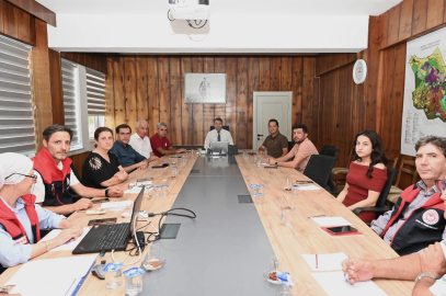 Denizli’de 2026 Zeytin ve Zeytinyağı Rekoltesi İçin Çalışmalar Başladı