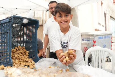 Dağkızılca’da Kuru İncir Festivali’nde Lezzet ve Eğlence Bir Arada