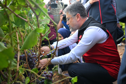 Bakan Yumaklı: ''Ankara'da Üzüm Deyince Kalecik Karası Akla Geliyor''