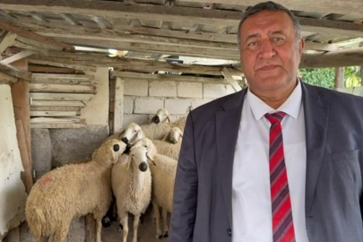 Gürer: “Hayvansal Üretimde Düşme Raftaki Fiyata Yansır”