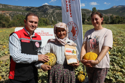 Menteşe’de Yayla Kavunu ve Ata Sebzelerinde Hasat Heyecanı