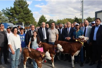 En Güzel Buzağı Yarışması Yapıldı