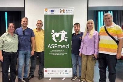 Yaşayan Laboratuvar ve Odak Grup Toplantısı Düzenlendi