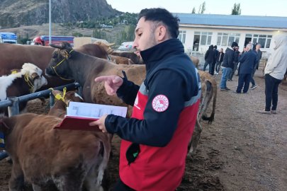 Şebinkarahisar Hayvan Pazarında Sıkı Denetim