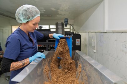 Büyükşehir Sahipsiz Canlar İçin Kendi Mamasını Üretiyor