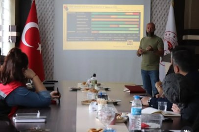 İtalya’dan Türkiye’ye Kahverengi Kokarca Deneyimi